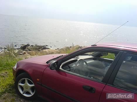 Honda Civic (SOLGT) billede 1