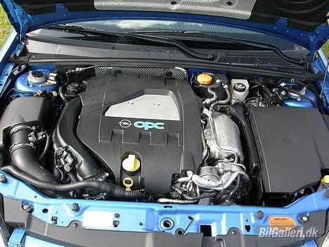 Opel Vectra OPC billede 10