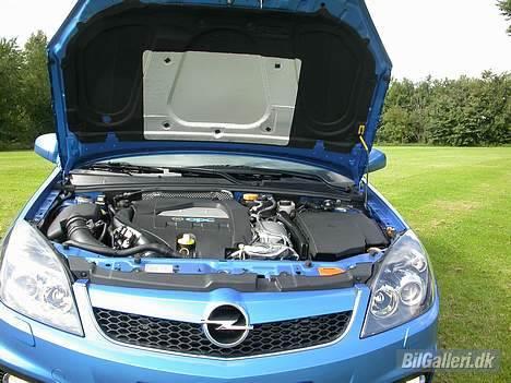 Opel Vectra OPC billede 12