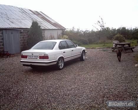 BMW 525i SOLGT billede 5