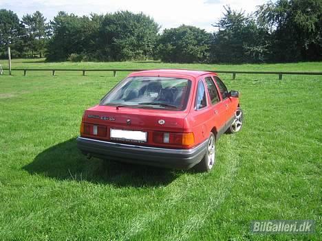 Ford Sierra SOLGT billede 2