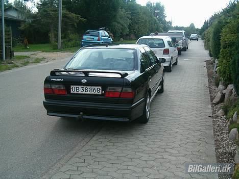 Nissan primera billede 2