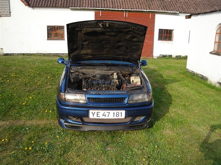 Opel Vectra A NYE BILLEDER billede 8