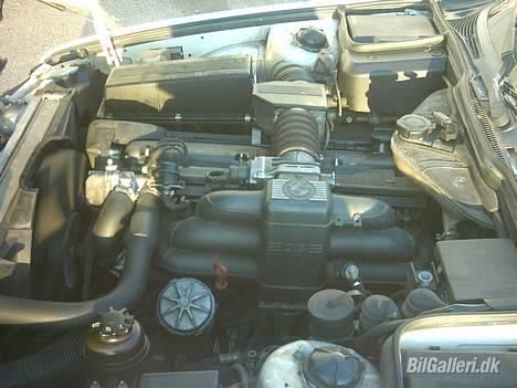 BMW Alpina B10 3,5 - Det er så min - uden biturbo billede 6