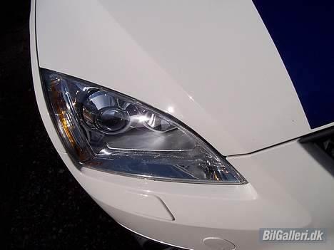 Ford Focus ST billede 8