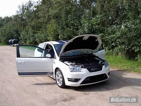 Ford Focus ST billede 13