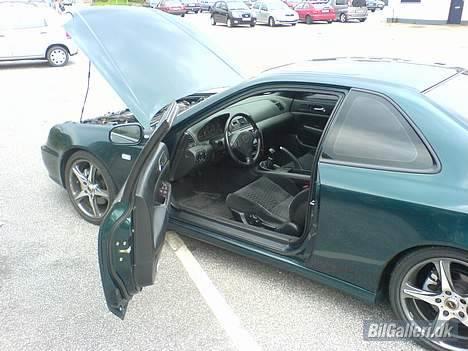 Honda Prelude billede 5