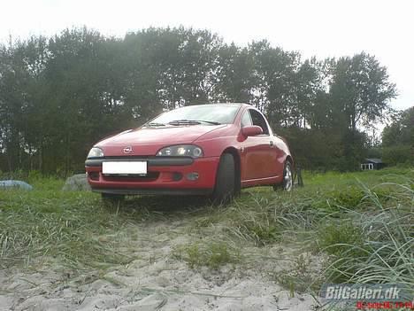 Opel Tigra - som fiskene så Tigra´en den dag... :) *lol* billede 20