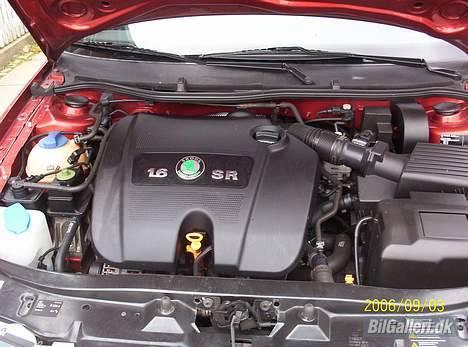 Skoda octavia ambiente billede 9