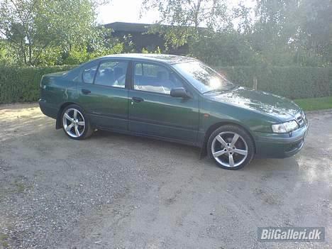Nissan Primera billede 7