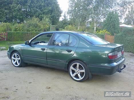 Nissan Primera billede 8