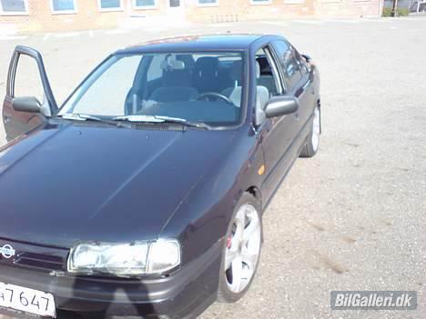 Nissan Primera billede 13