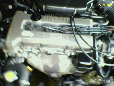 Nissan primera 2.0 P10 (SOLGT) billede 6