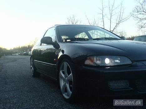 Honda Civic billede 1