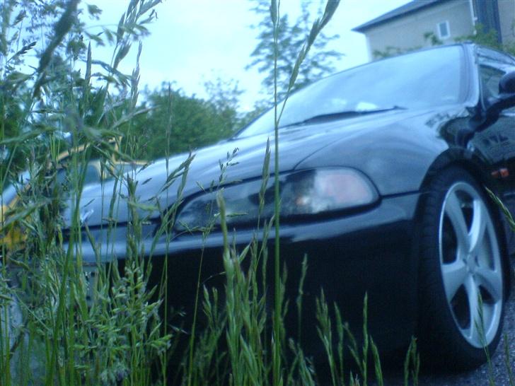 Honda Civic billede 3