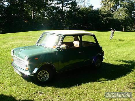 Mini Mascot 850 (SOLGT) billede 7