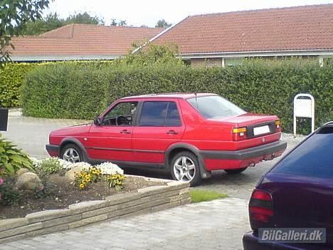 VW Jetta (Færgen) billede 5