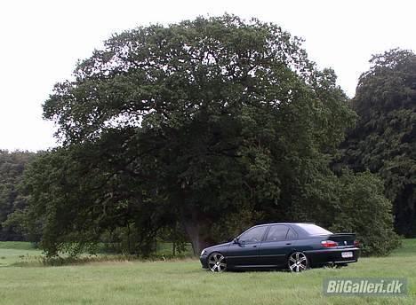 Peugeot 406 sv ( 19") Solgt billede 12