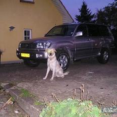 Toyota LandCruiser VX100>>SOLGT<