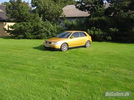 Audi A3 Solgt :'-( - Billedet er fra sidste sommer, med de gamle fælge, lygter og front billede 6