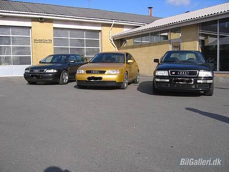 Audi A3 Solgt :'-( - Lige et billede a min fars A4, min A3 og min brors gamle S2. Tre dejlige slæder billede 7