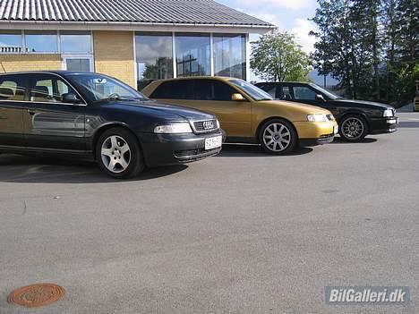 Audi A3 Solgt :'-( - Lige et billede a min fars A4, min A3 og min brors gamle S2. Tre dejlige slæder billede 8