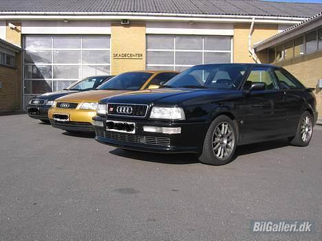 Audi A3 Solgt :'-( - Lige et billede a min fars A4, min A3 og min brors gamle S2. Tre dejlige slæder billede 9