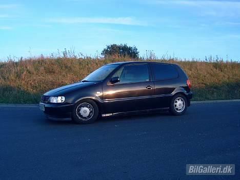 VW Polo 6N billede 2