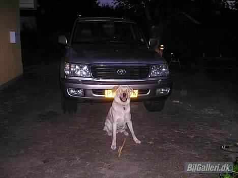 Toyota LandCruiser VX100>>SOLGT< billede 6