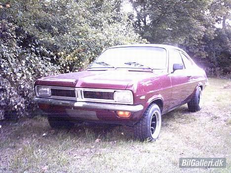 Vauxhall firenza "old english" - det er en solstråle billede 1