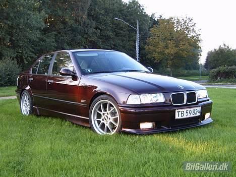 BMW E36 320i (solgt) billede 5