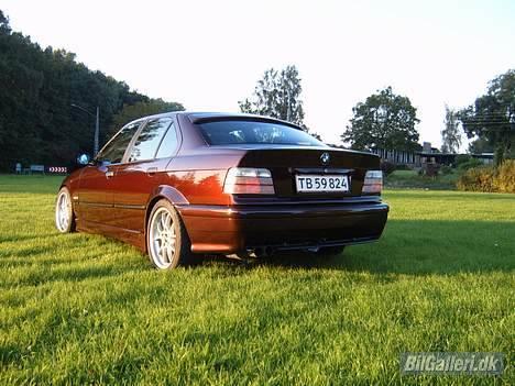 BMW E36 320i (solgt) billede 11