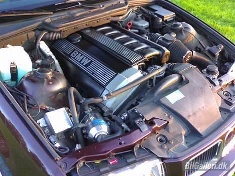 BMW E36 320i (solgt) billede 16