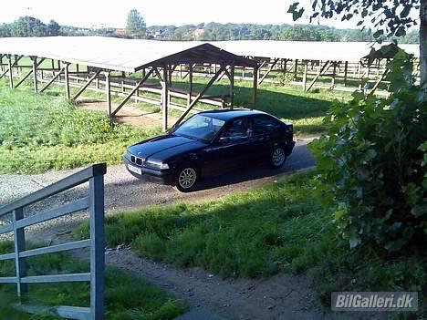 BMW 316 I compact Bavari billede 14