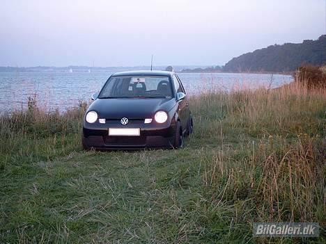 VW LUPO 3L TDI  DØD!!! billede 7