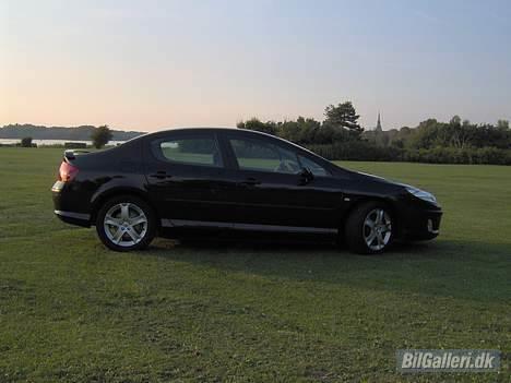 Peugeot 407 billede 14