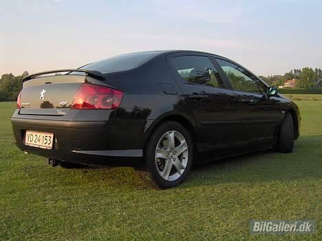 Peugeot 407 billede 15