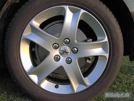 Peugeot 407 billede 16