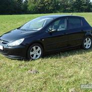 Peugeot 307 SE