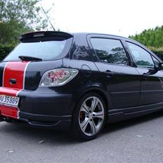 Peugeot 307 MS SPORT