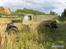 Land Rover 109