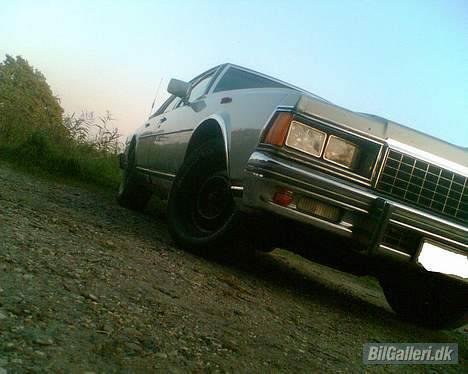 Amerikaner Chevrolet Caprice  billede 12