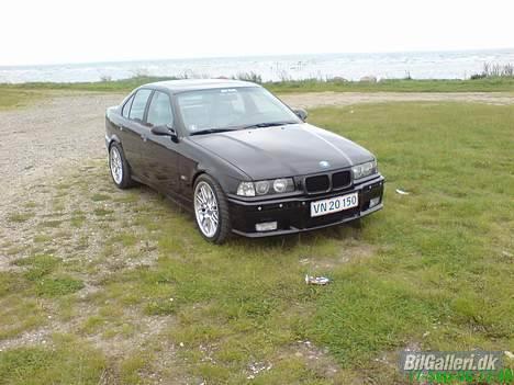 BMW E36 325i billede 7