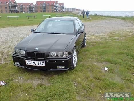 BMW E36 325i billede 8