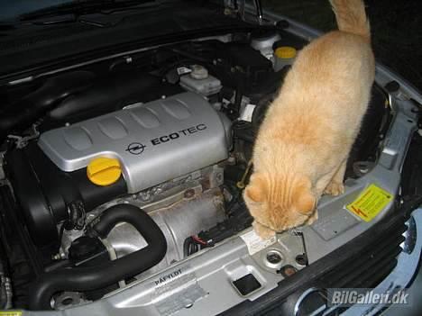 Opel Vectra b 1.8 "solgt" - Hov hov ! Ikke strinte på batteriet :-) billede 8