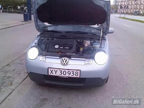 VW Lupo 3L - Efter 3 forsøg med dioder, gider jeg sku ikke mere. så nu køre jeg bare uden. billede 14