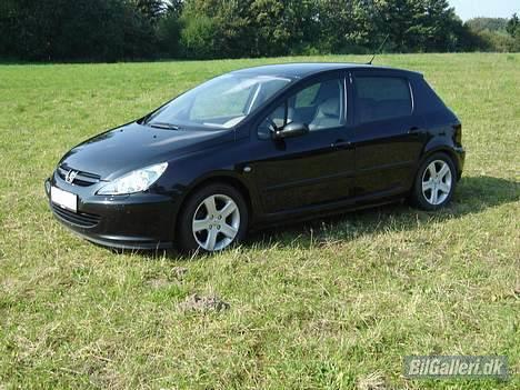 Peugeot 307 SE billede 1