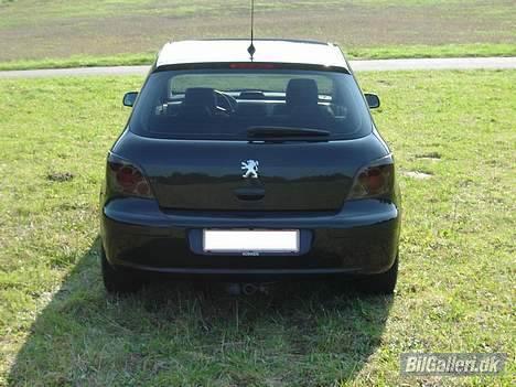 Peugeot 307 SE billede 2