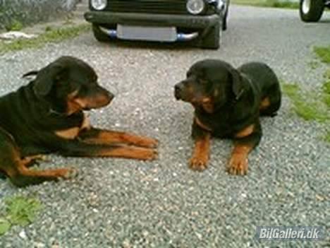 VW golf2 20vT turbo 520-754 billede 9