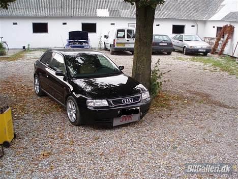 Audi A3  JVK tunet (solgt) - gamle front billede 16
